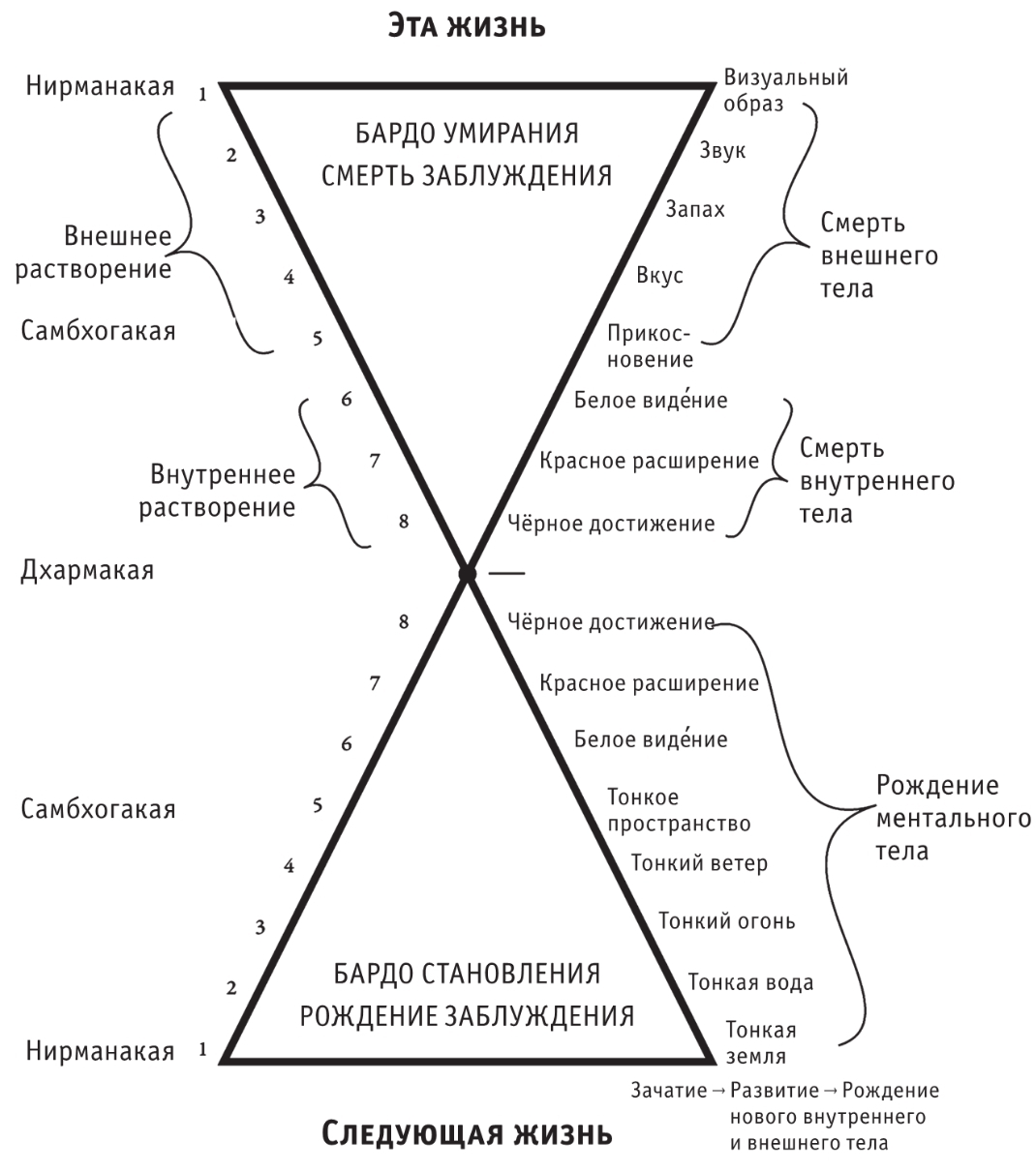 Без названия_1.jpeg