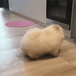 ВМЫ.gif