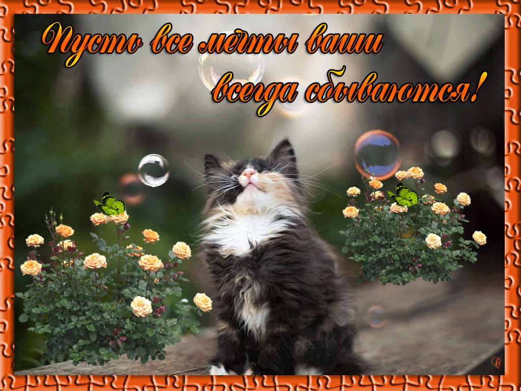 Пусть-мечты-сбыв-1-1024x768.gif