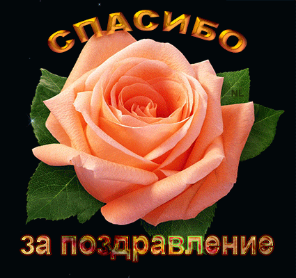 Спасибо за поздравление.gif