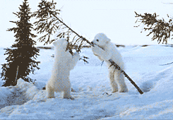ави.gif