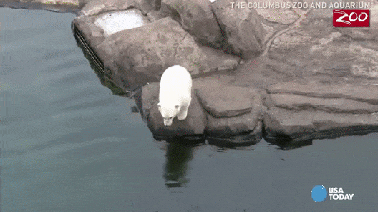 а4п.gif