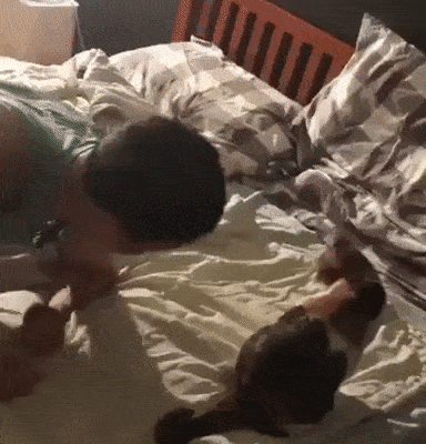 гифки-котэ-прилёг-5752097.gif