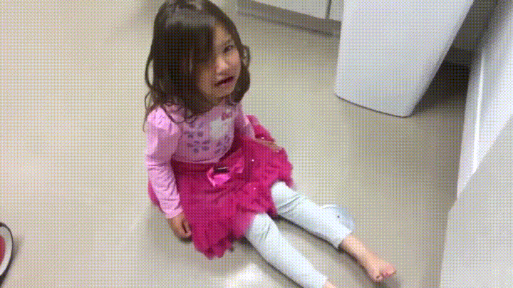 гифки-собака-корги-девочка-3612730.gif