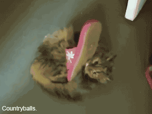 дзен.gif