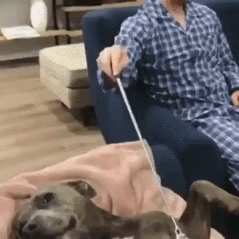 еипм.gif