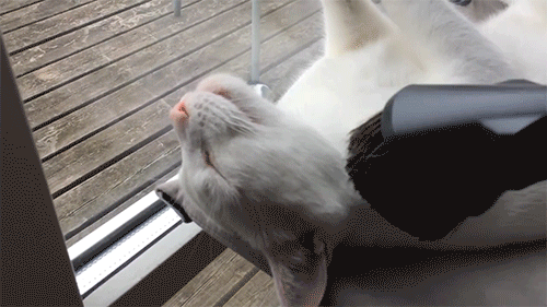 емикум.gif