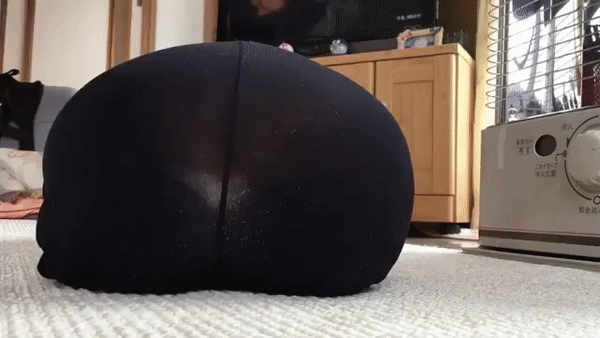 корги-собака-gif-3612699.gif