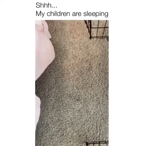 кр5н4.gif