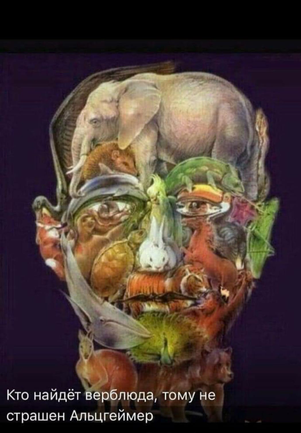 кто найдет верблюда.jpg