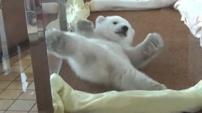 купры.gif