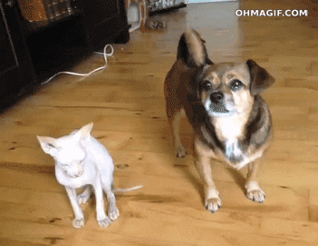 к5н.gif