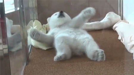 муф4кп.gif
