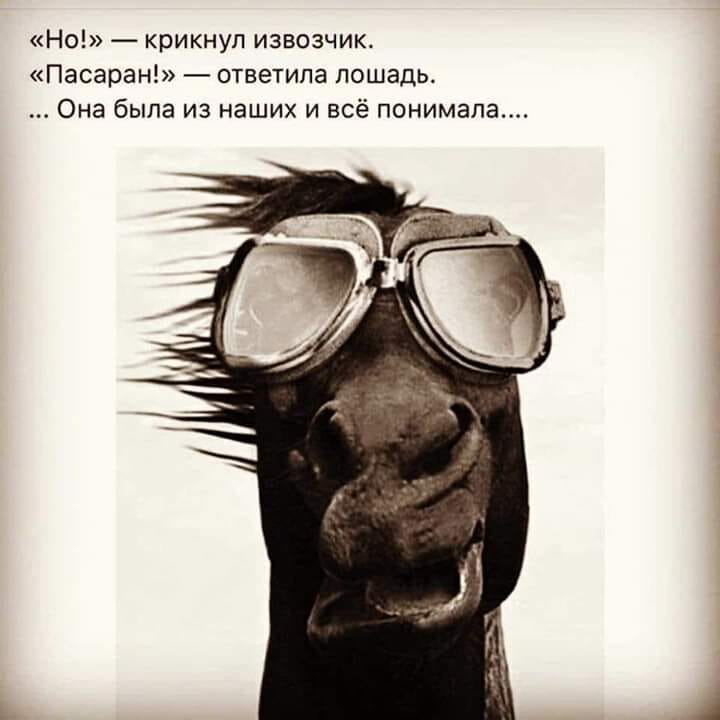 но пасаран.jpg