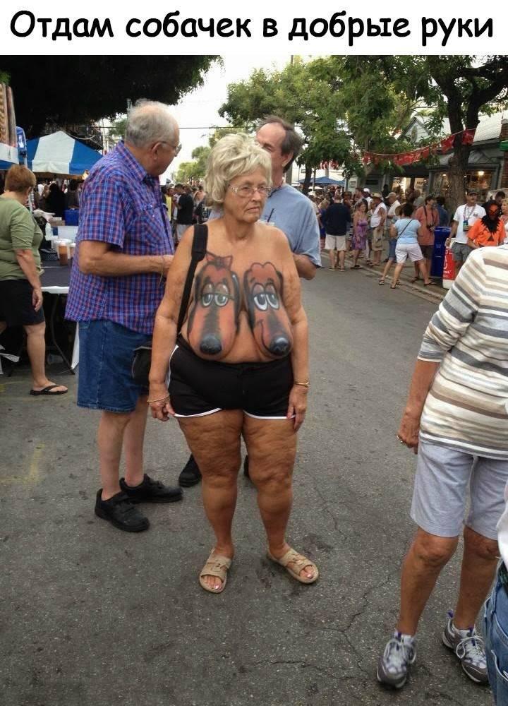 отдам собачек.jpg