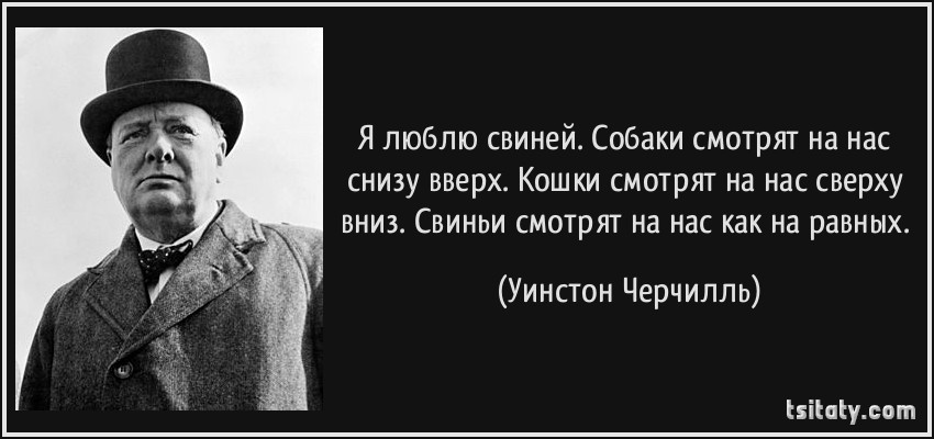 прр.jpg