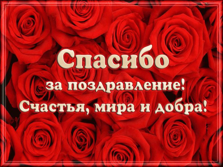 сайт-24-768x576.gif
