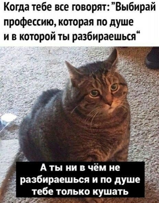 т.Fpa4E.jpg