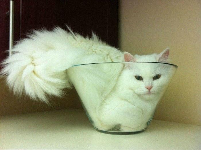 увы3йы2й.jpg