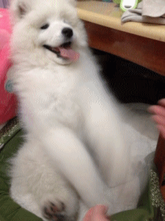 укм.gif