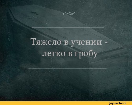 учеба-черный-юмор-песочница-удалённое-1066250.jpeg