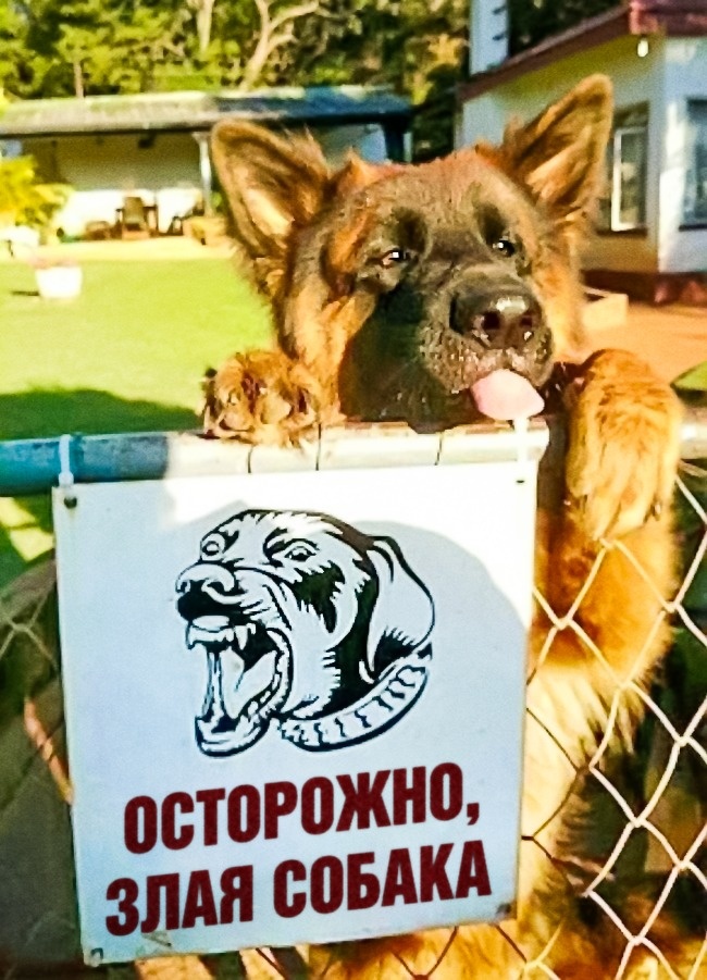 ч.jpg