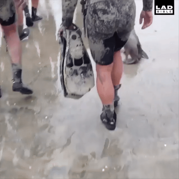 ш7шкгл.gif