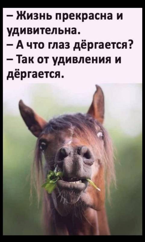 06563a05ad95.jpg