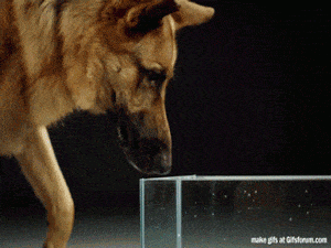070917-5.gif
