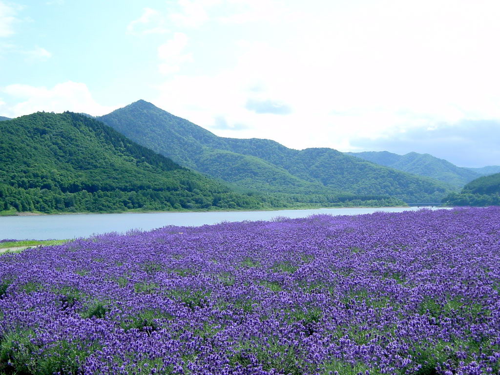 09f87422d2e3.jpg