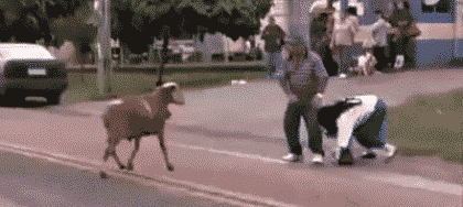 0_e3395_354df60b_orig.gif