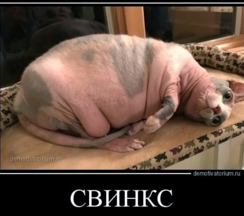 0b5a34f3abc5f8fd8a4af1c0e9ce7113.md.jpg