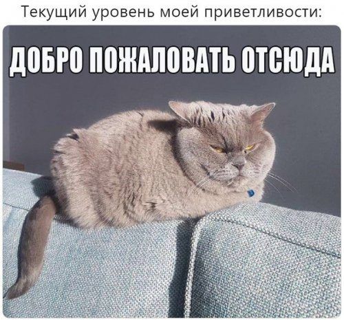0f336ed97c97da11efdd8dcd7267ebe0.jpg