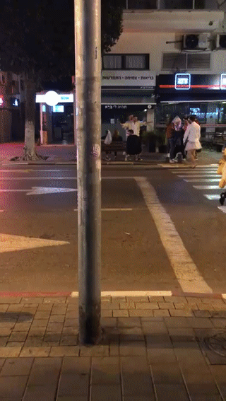 1 (1).gif