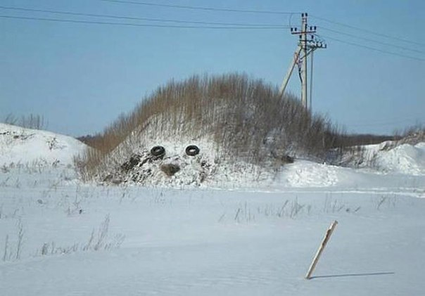 10-3740117-yozhik.jpg