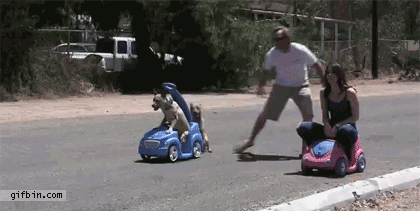 10.gif