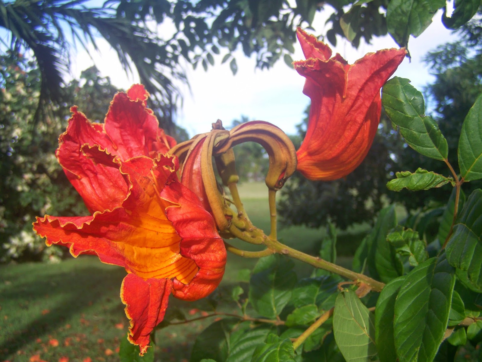 100_9953.JPG