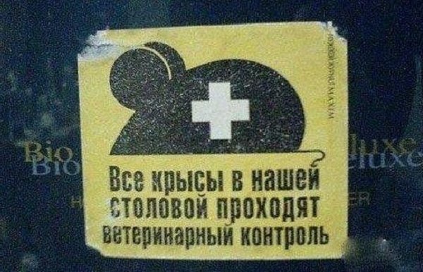 106.jpg
