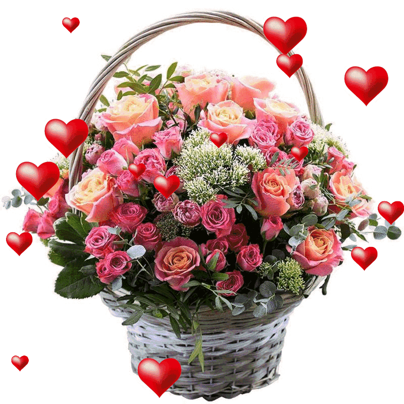 10781606_fea337774812f3b65b03452986577bbd_800.gif