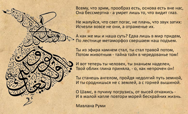 107869_original.jpg