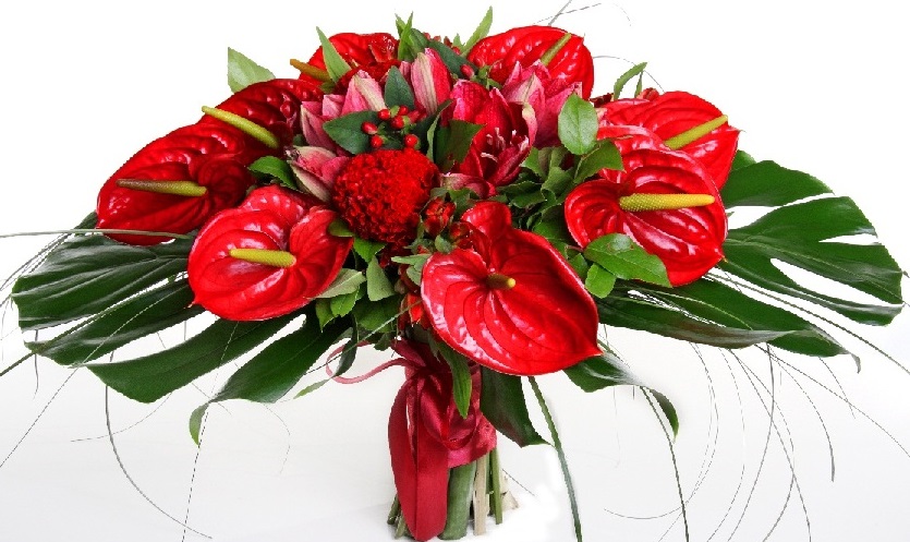 1090242-3flower49.jpg