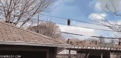112479762-6.gif