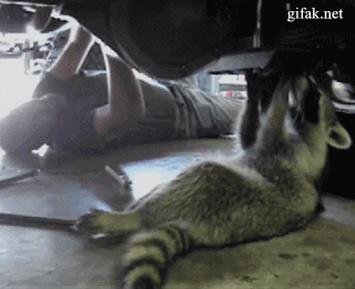 112480874-gifkienotremontmashina279617-yapfilesru.gif
