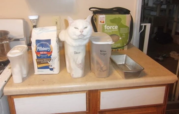 12392410-image-crop-754x483-1557239397-728-ad7590a6f7-1557820304-1.jpg