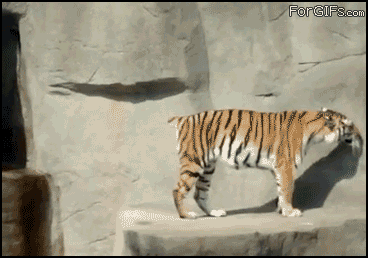 1329479640_1328550374_1310484787_10.gif