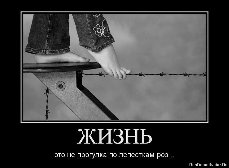 1341246771_91726674_zhizn.jpg