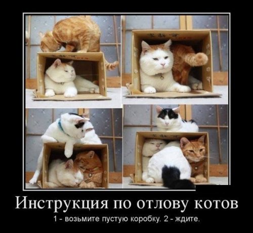 1343887469_demotivatory-20.jpg