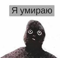 1347.jpg