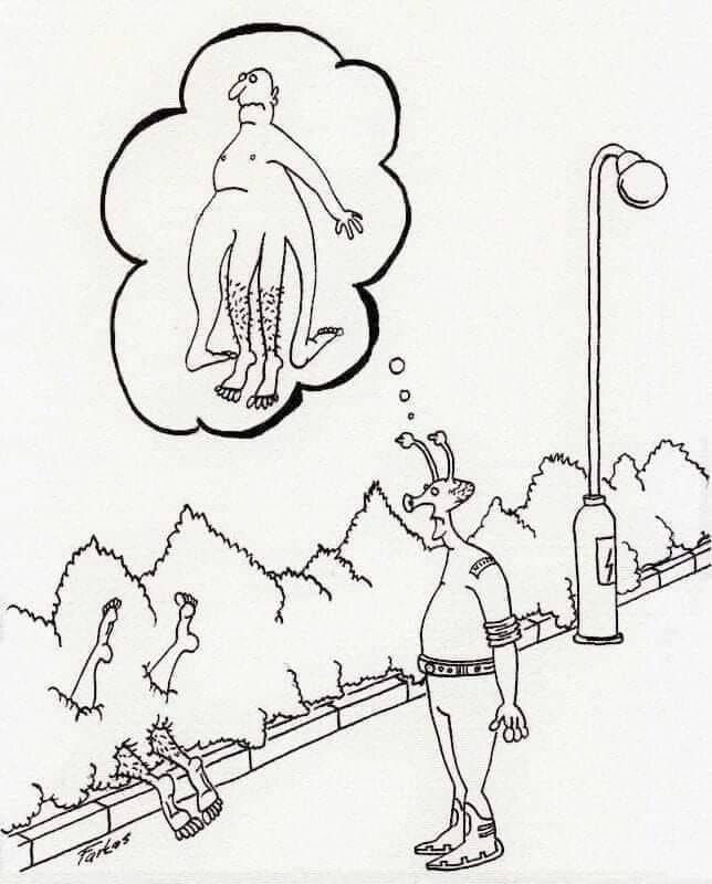 135.jpg