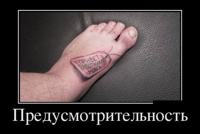 13689944.jpg
